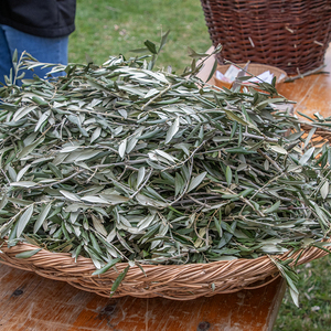 Palmsonntag 2024 auf dem Kirchberg in Deutschfeistritz